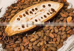 complete cocoa bean processing/roasting/peeling plant