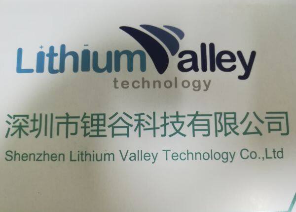 shenzhen lithium valley technology co., ltd