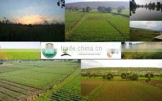 Carmel Organics Private Limited company overview - view 1