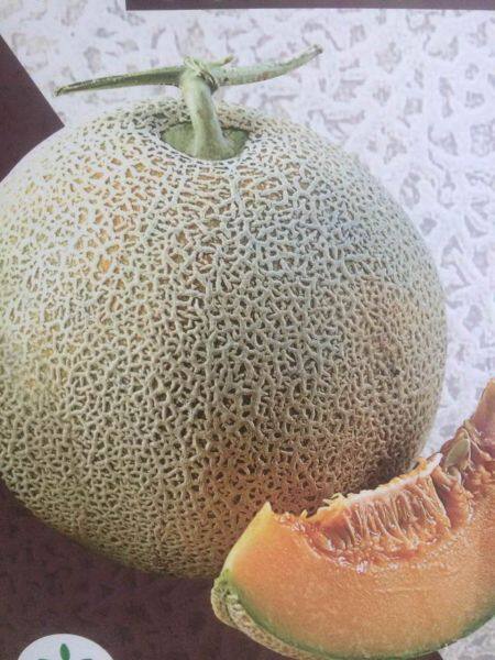 YiNong company overview - view 1