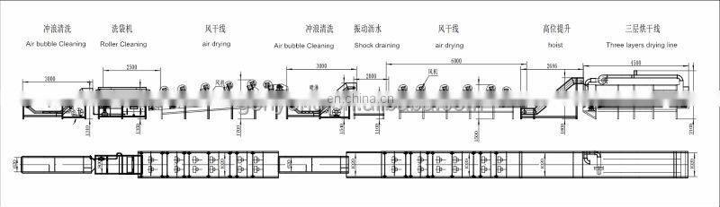 Raisin washing and drying line