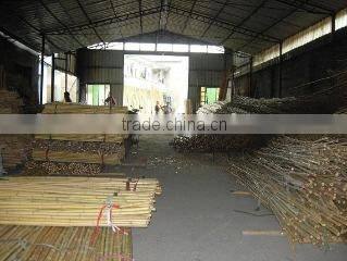 Anji Sunbelt Bamboo & Wood Products Factory company overview - view 1