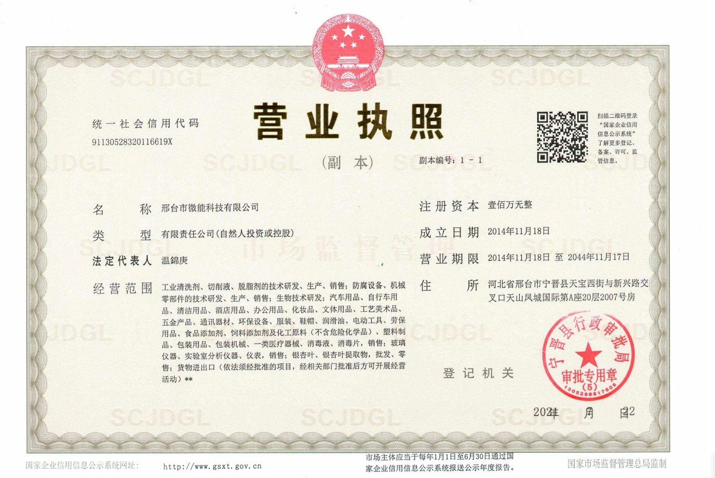 Xingtai Micro-energy Technology Co. , Ltd. company overview - view 1