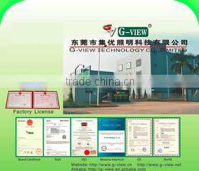 Dongguan G-View Lighting Technology Co., Limited company overview - view 1