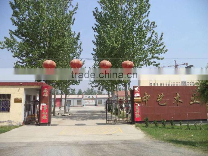 Caoxian Zhongyi Wooden Co., Ltd. company overview - view 2