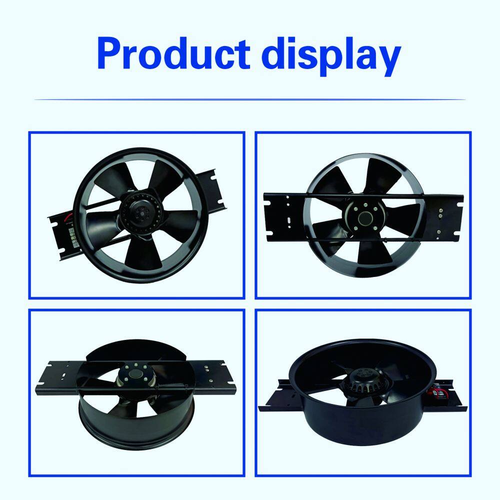 1D產(chǎn)品展示(英文)