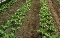 Lai Wu Sweet Dew Water Saving Equipment Co.ltd company overview - view 3