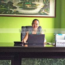 Shenzhen Uniflying Hotfix Motifs Workshop company overview - view 4