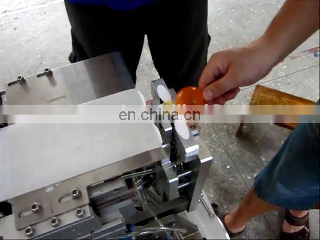 Ice pop half fold label machine