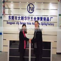 Dongguan City Dalang Vista Hardware Spring Factory company overview - view 2