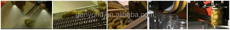China Pickled Cucumber Production Line/processing Machine/equipment