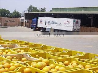 Sma Trading For Import And Export And Commercial Agencies company overview - view 3