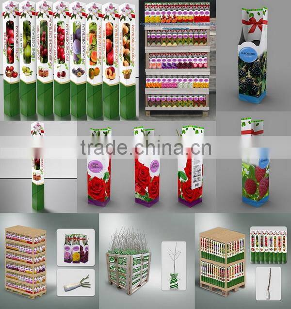 Econom Cop Doo Subotica company overview - view 2