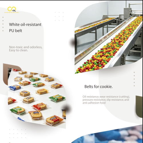 Jiangsu New Lianda Belting Technology Co.,ltd. company overview - view 1