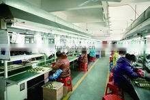 Xiangtan Huaxin Electronic Technology Co., Ltd. company overview - view 1