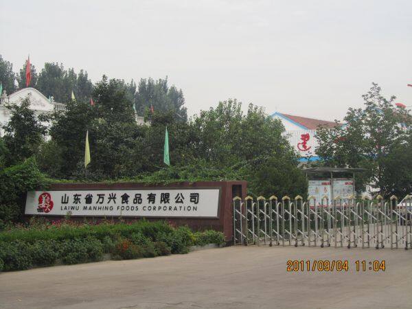 Laiwu Manhing Vegetables Fruits Corporation company overview - view 1