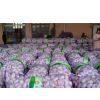 Pizhou Tianyuan Trade Garlic Co.,ltd company overview - view 1