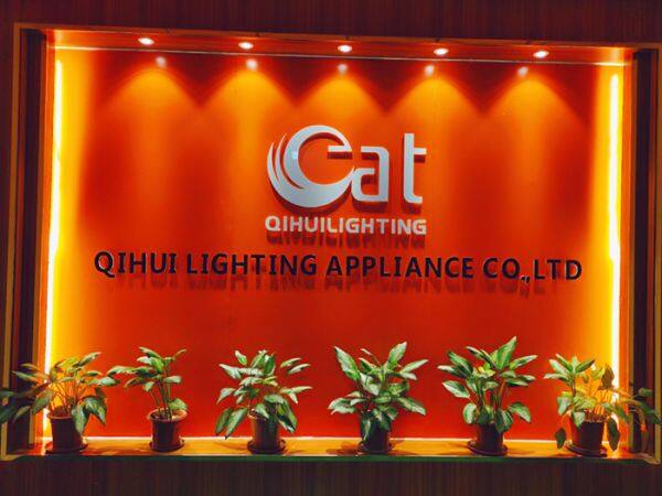 Jiangmen City Pengjiang District Qihui Lighting Electrical Appliances Co., Ltd company overview - view 2