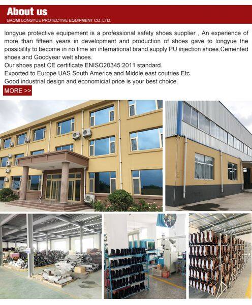 Gaomi Longyue Protective Equipment Co . Ltd company overview - view 1