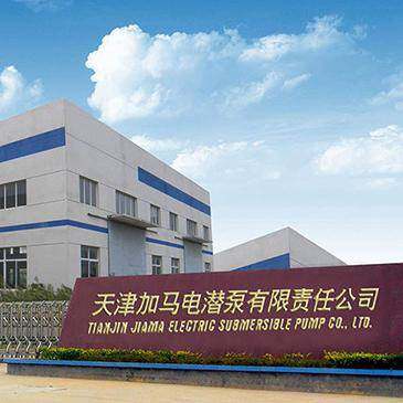 Tianjin Gamma Electric Submersible Pump LLC company overview - view 1