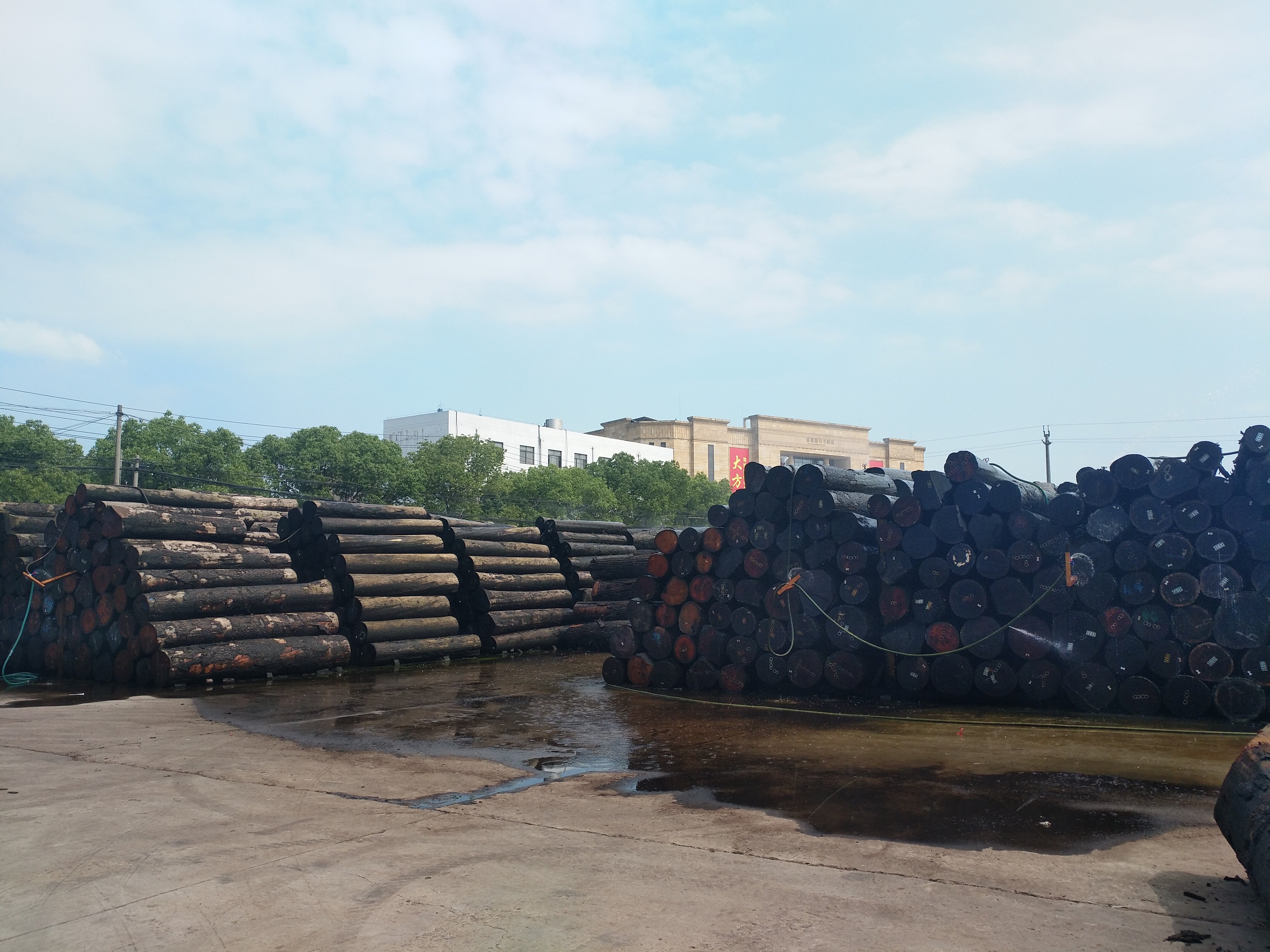 Shunfang Veneer company overview - view 3