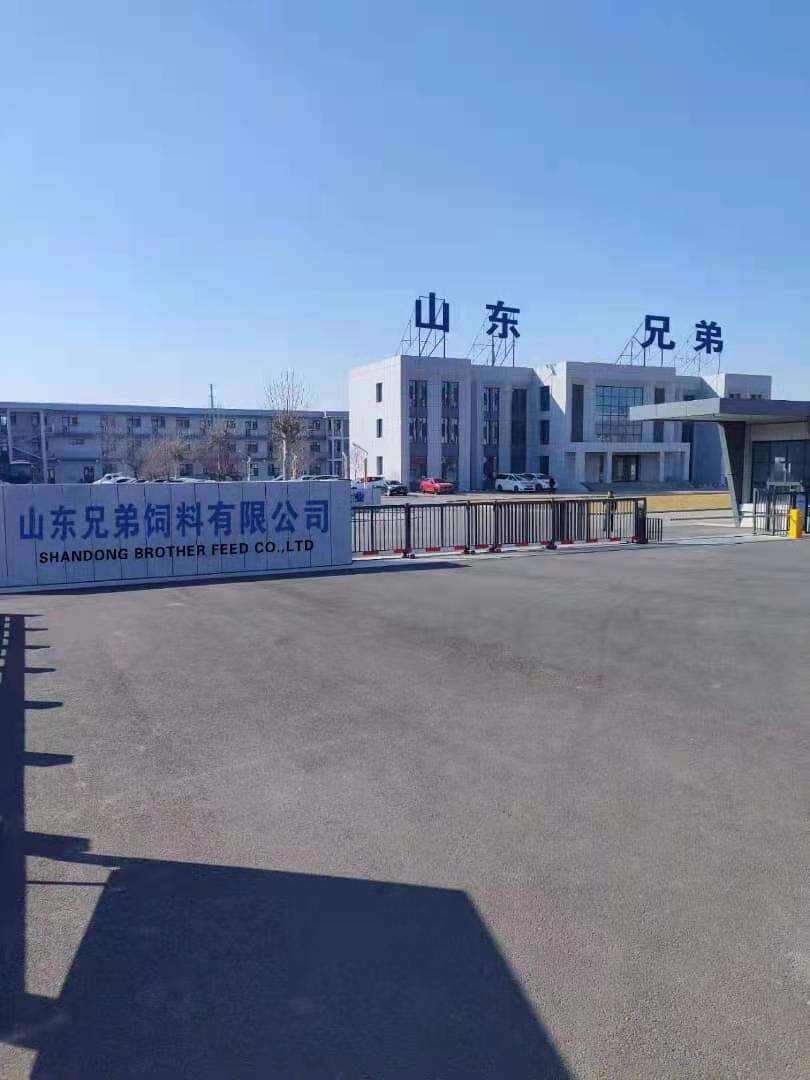 Shandong Brother Feed Co.,Ltd company overview - view 1