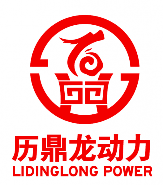 Guangdong LiDingLong Power Technology Co.;Ltd company overview - view 1