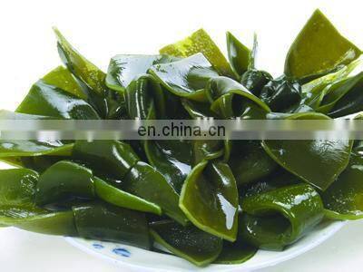 seaweed washing machine/Industrial washing drying machine/seaweed nitrate packaging machine