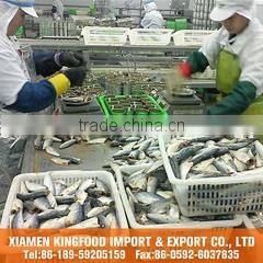 Xiamen Kingfood Import & Export Co., Ltd. company overview - view 1