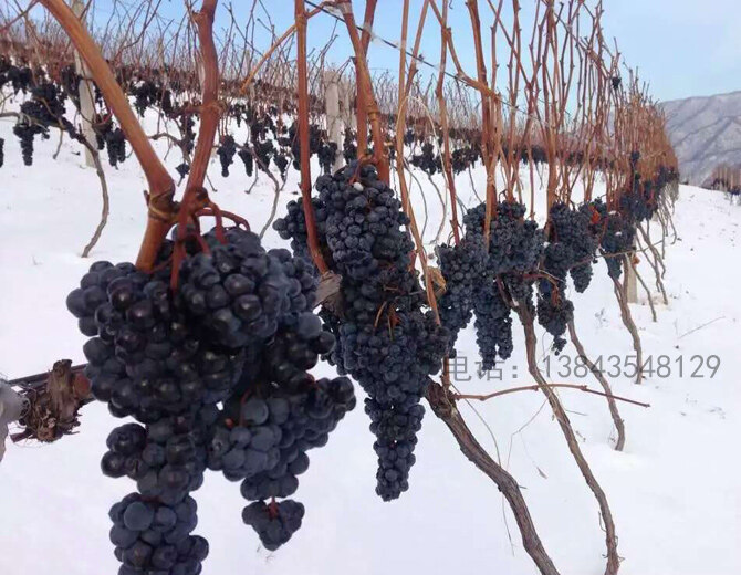 Ji\'an Midea Manor Winery Co., Ltd company overview - view 2