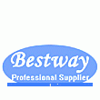 Shanghai Bestway International Co., Ltd.