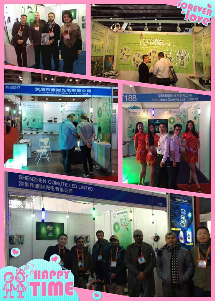 Shenzhen Comlite LED Limited company overview - view 4