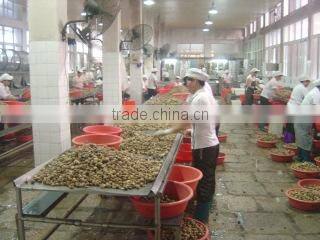 Xiamen Hanfeng Co., Ltd. company overview - view 1