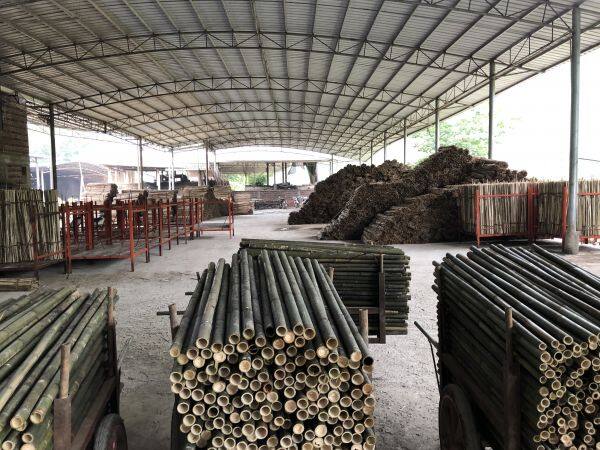 Nvhuan Bamboo company overview - view 3