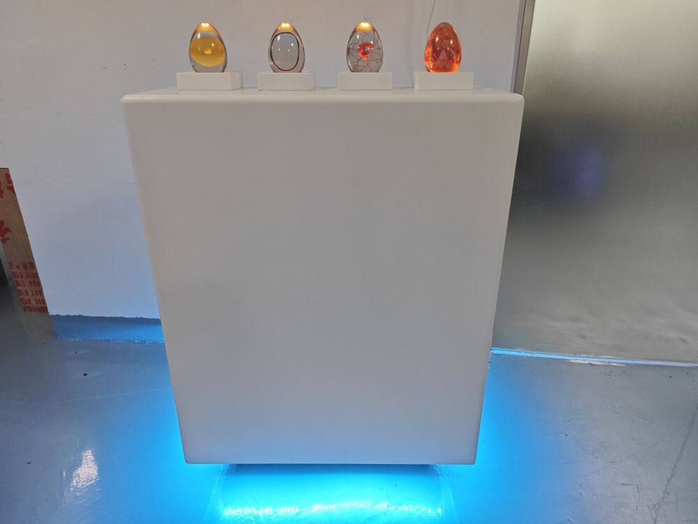 鸡蛋孵化演示过程模型 (6)