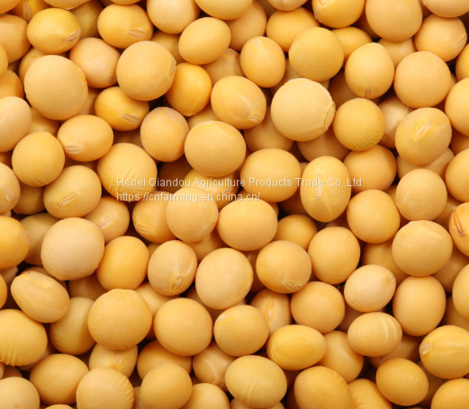 微信图片_20180102154712