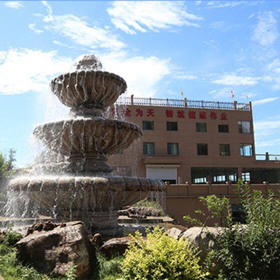 Shandong Heishangmei Biotechnology Development Co.,Ltd company overview - view 1