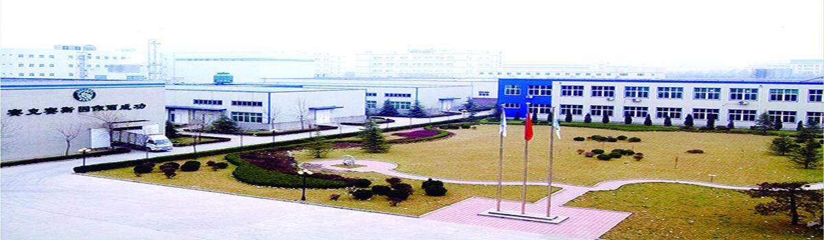 Shandong Saikesaisi Hydrogen Energy Co.,ltd company overview - view 1