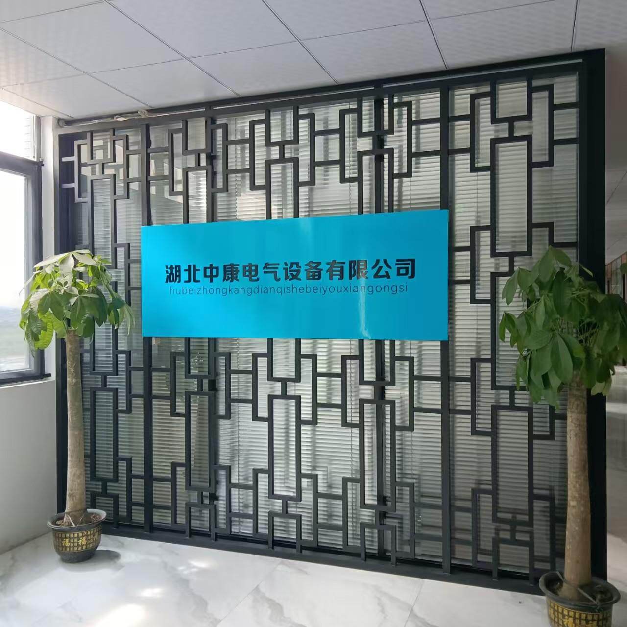 Hubei Zhongkang Electrical Equipment Co., Ltd. company overview - view 1