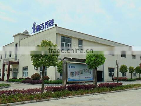 Hubei Xinji Pharmaceutical Packaging Co., Ltd. company overview - view 1