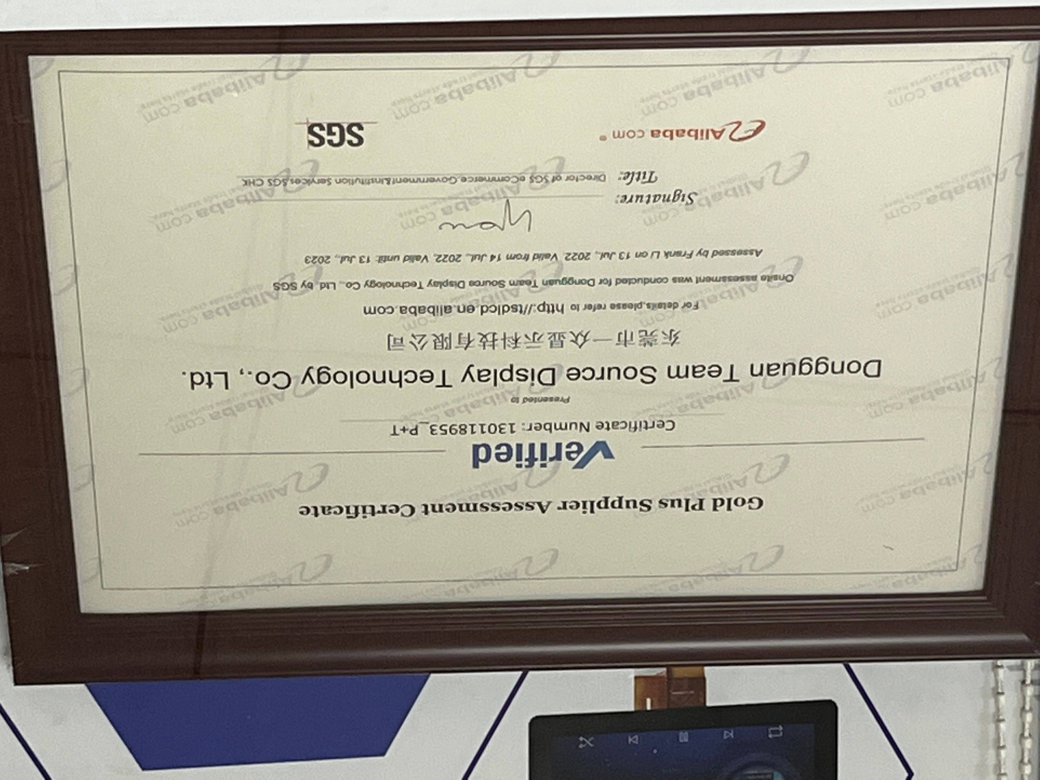 Dongguan Team Source Display Technology Co., Ltd company overview - view 1