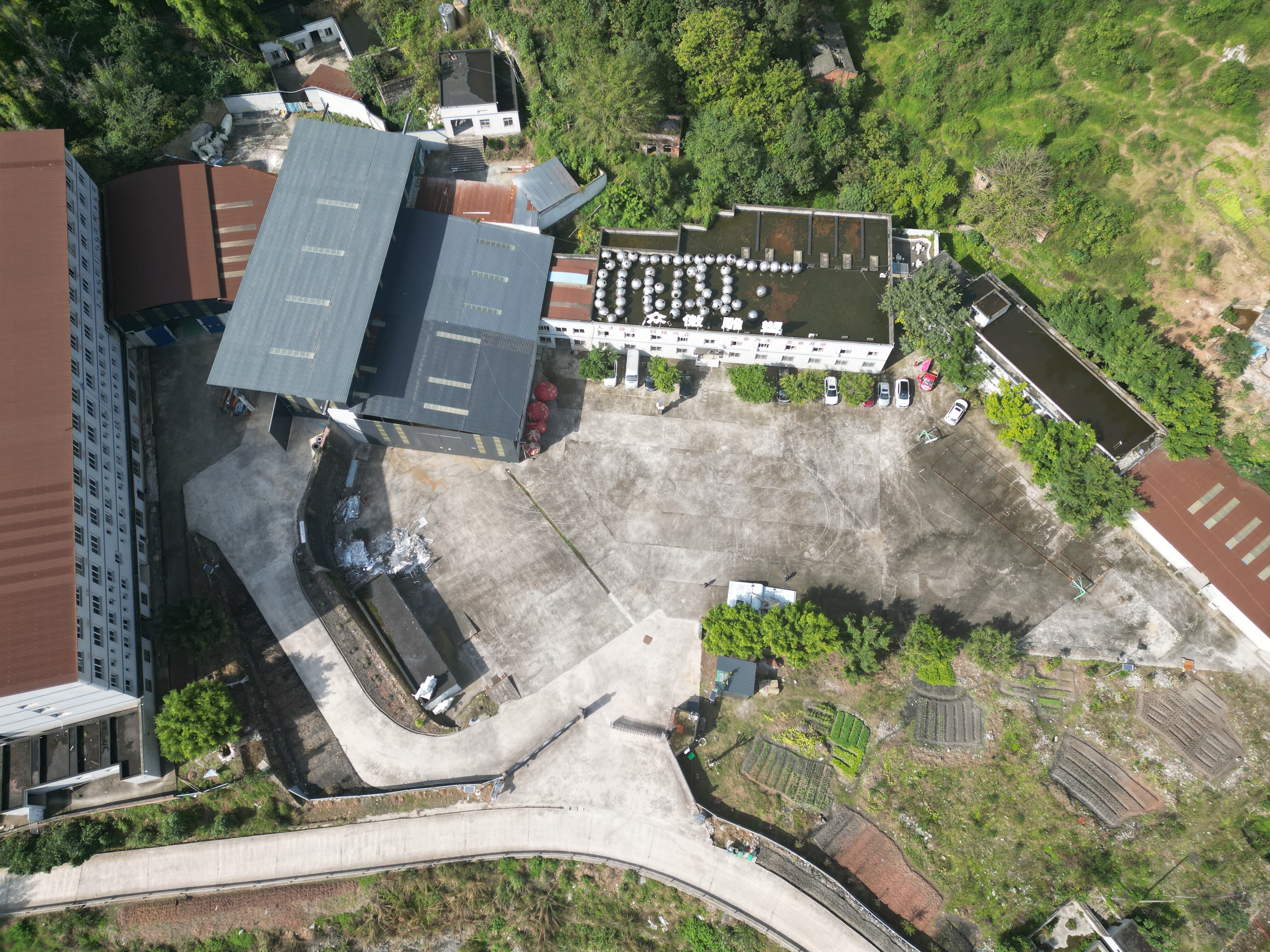 Zads-art company overview - view 2