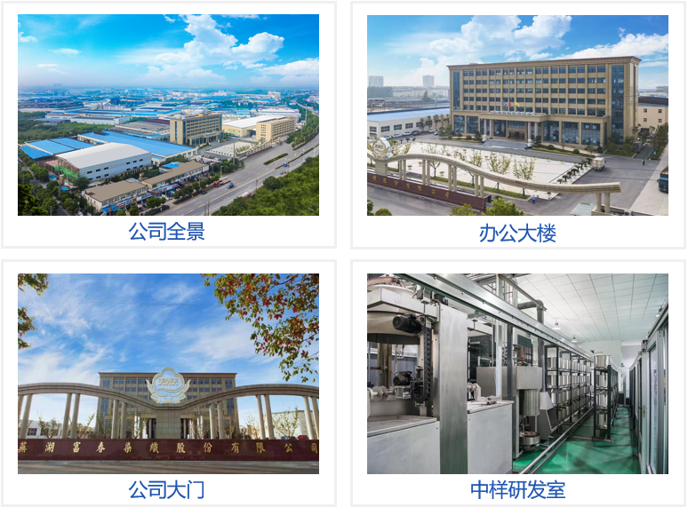 Wuhu Fuchun Dye & Weave Co.,Ltd. company overview - view 2