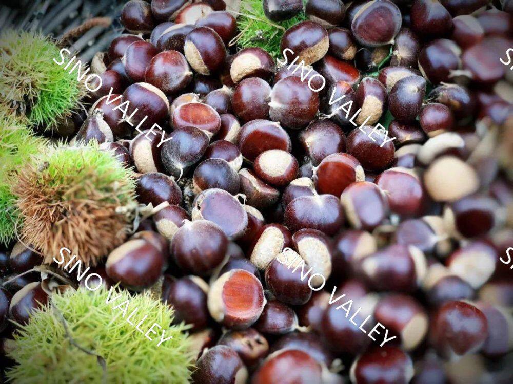 7541801f658b492fb63f18b3c9d7990d