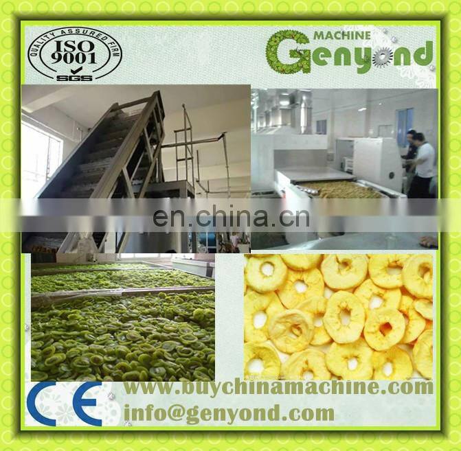 Hot Sale Fruit Drying Line for Dehydrated fruit