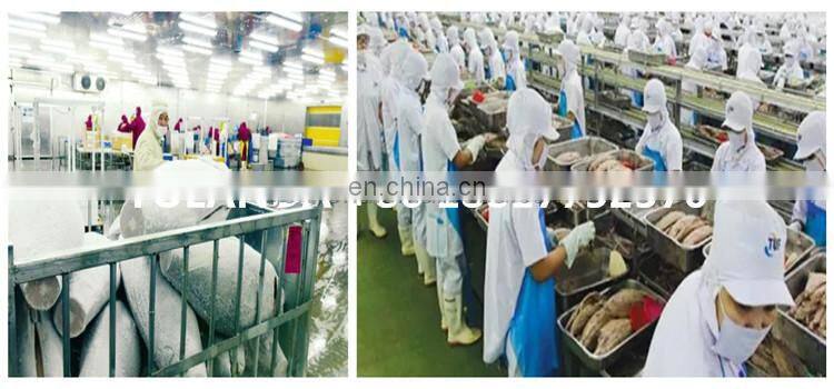 small scale canned tuna flakes in oil processing machine