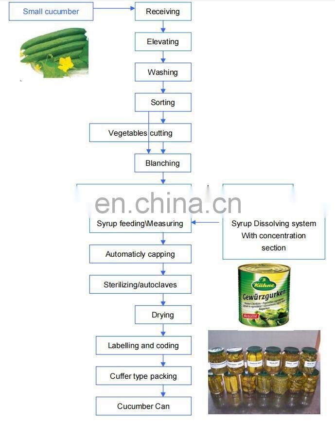 Factory Genyond Professional carrot cucumber pickles pickled onion canning equipment machine production line processing plant