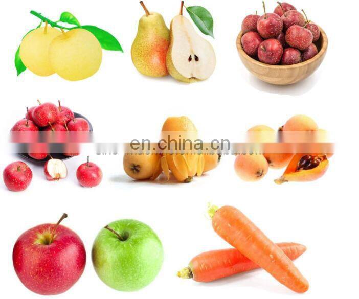 Apple Fruit Juice Belt Press Machine/Belt type juice extractor