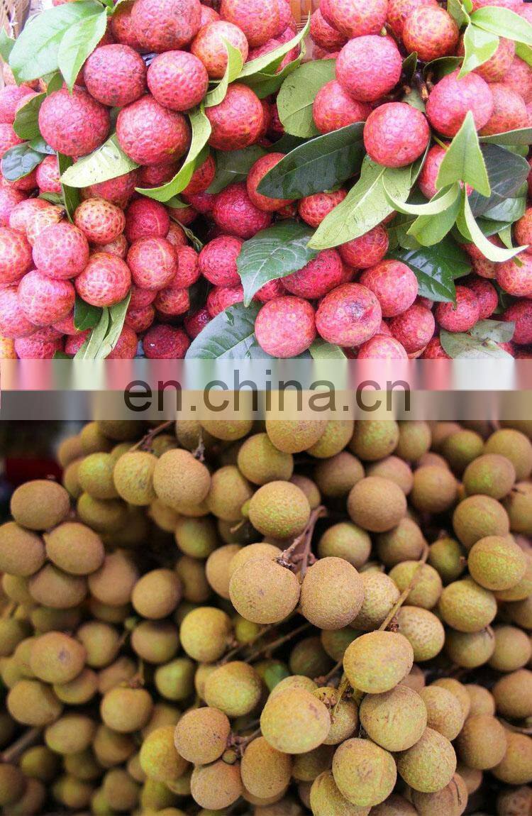 lichi lichee leechee litchi lychee peeling seed removing machine