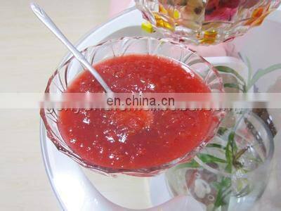 hawthorn/fruit/ tomato/ pineapple paste /juice / can/ jam machine with factory price